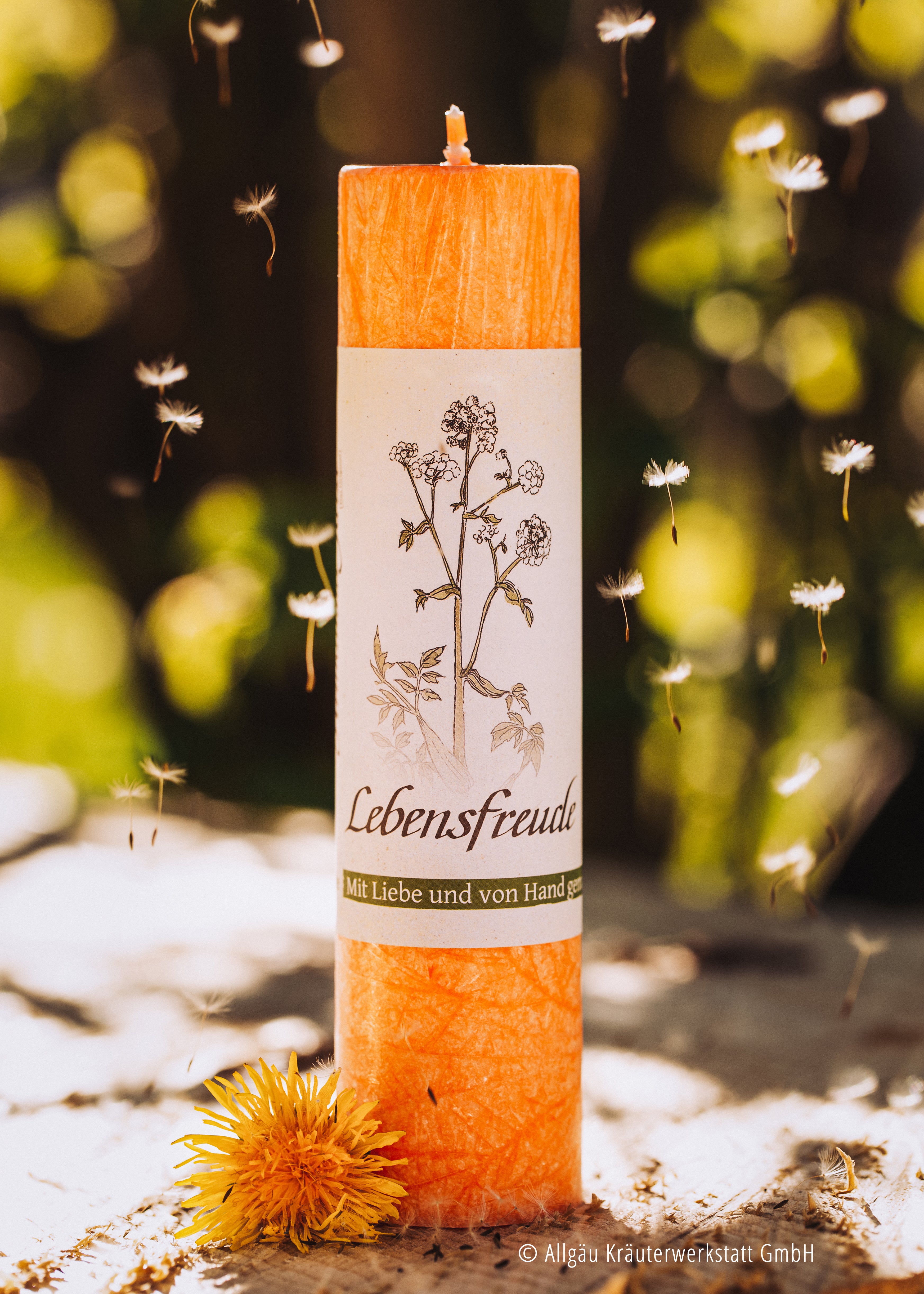 Allgäuer Heilkräuterkerze Lebensfreude mit Löwenzahnblüte dekoriert und fliegenden Pusteblumensamen im Hintergrund