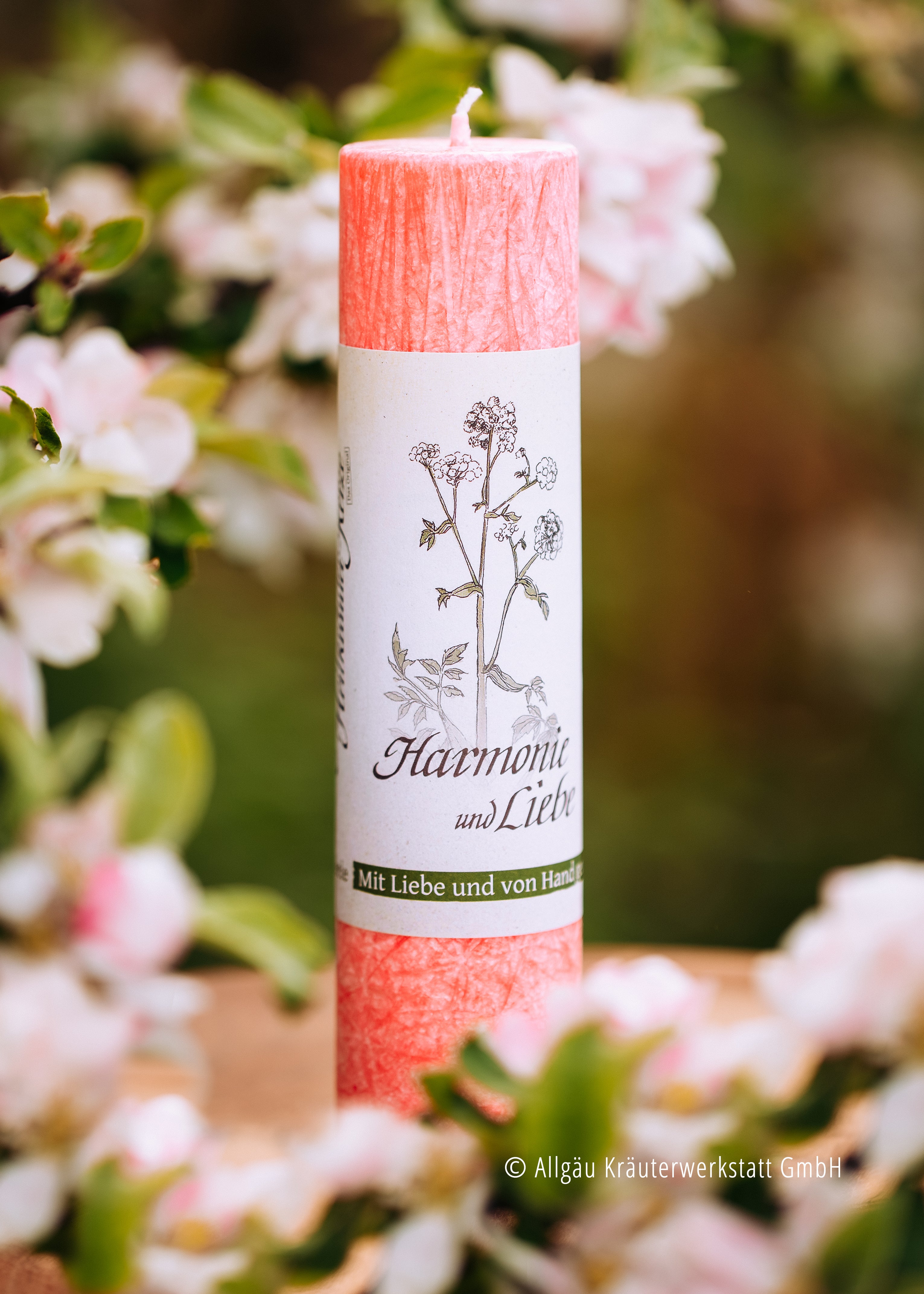Allgäuer Heilkräuter Kerze in rosa stehend vor rosa blühenden Obstbaumzweigen