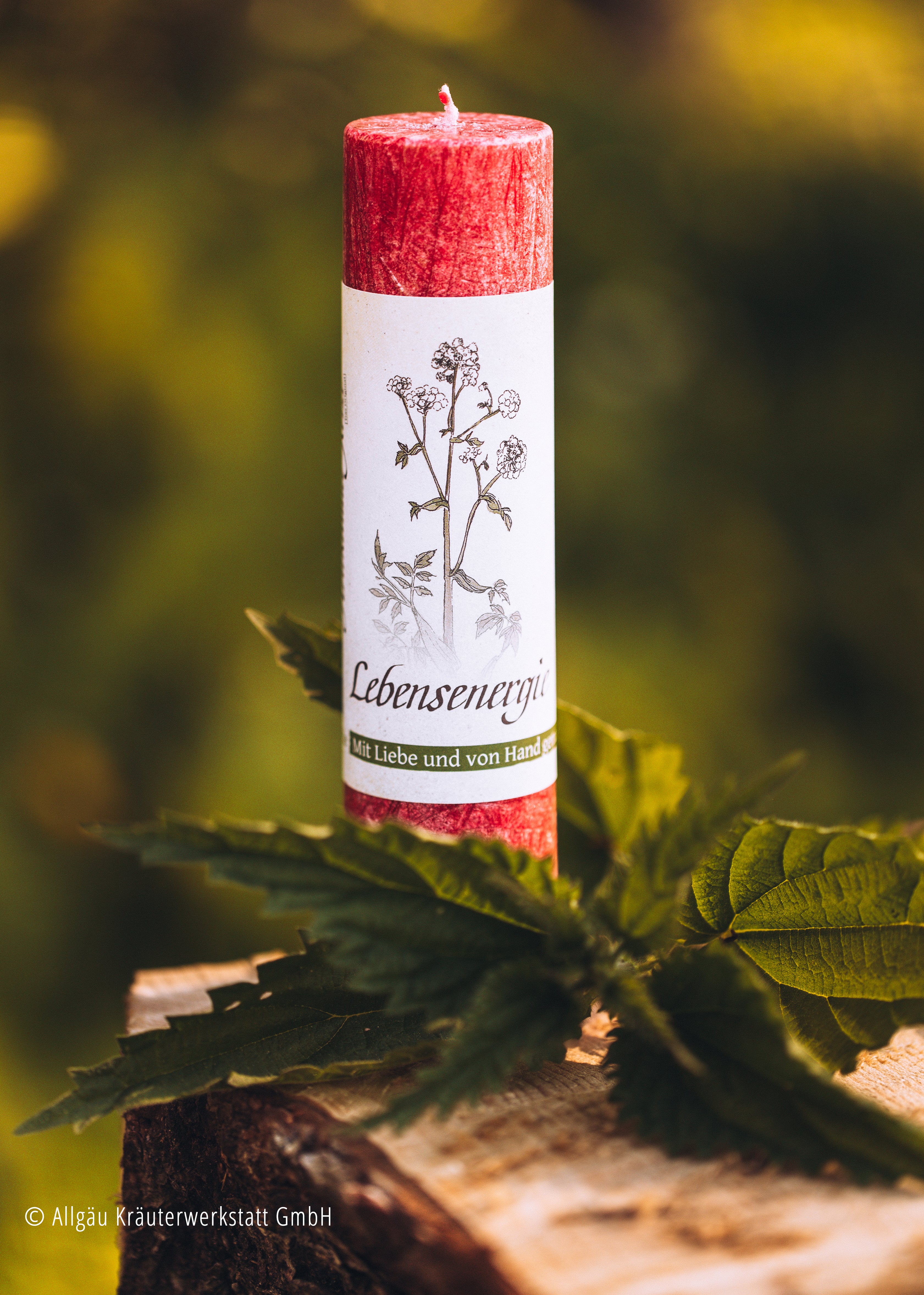 Allgäuer Heilkräuter Kerze in rot vor grünem Hintergrund mit Brennnesselblättern dekoriert