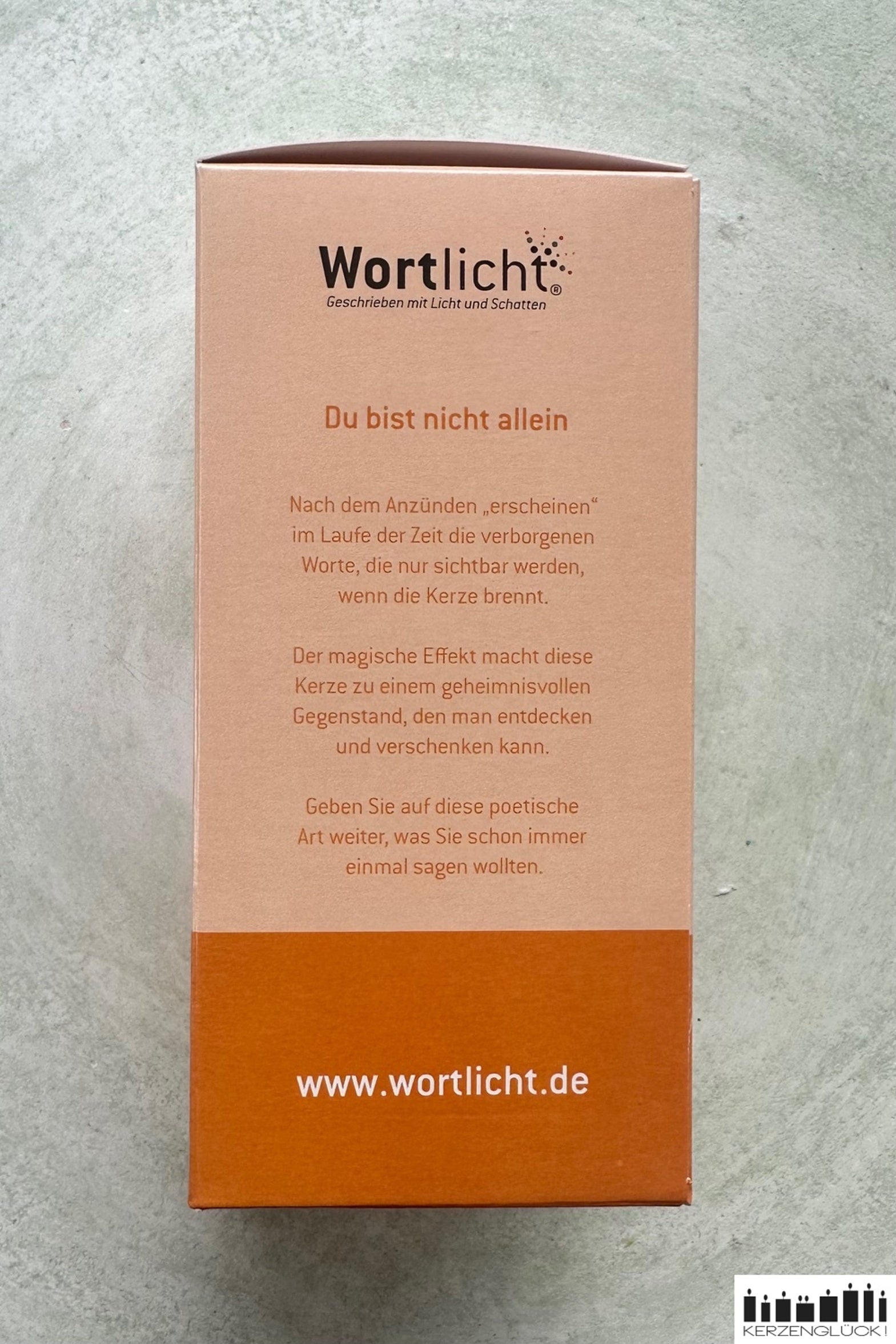 Wortlicht "Du bist nicht allein"